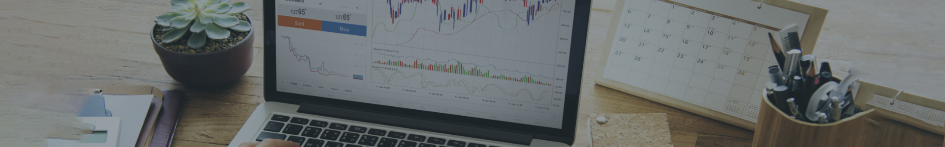 Forex Signal About Banner