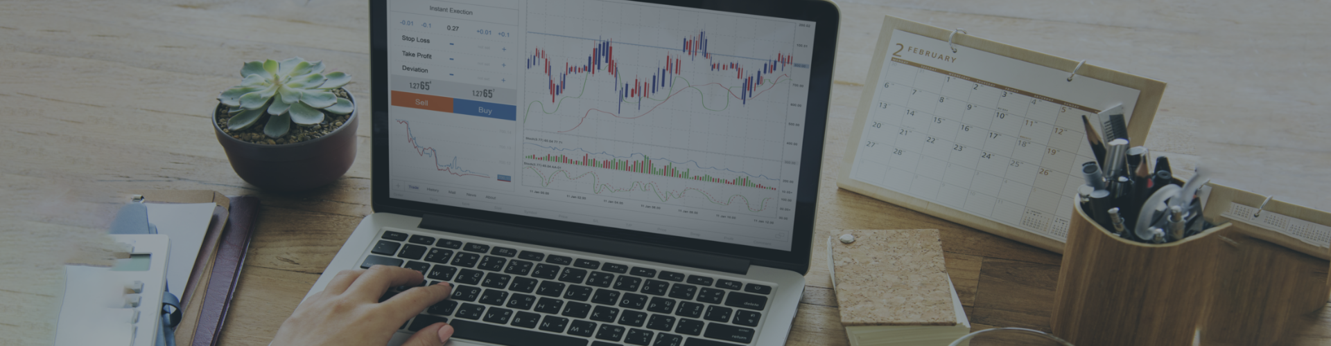 Forex Signal Home Image