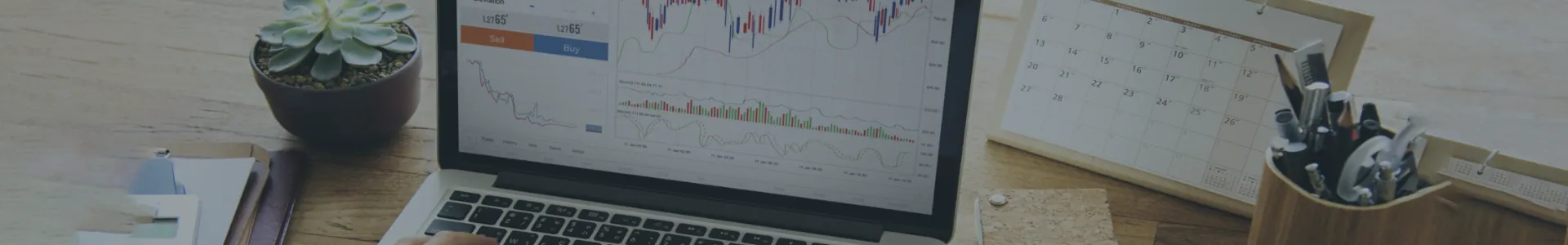 Forex Signal About Banner
